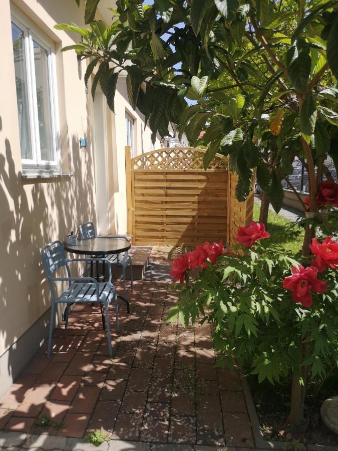Terrasse Wohnungen Mit Parking In Zentrum 바덴 외부 사진