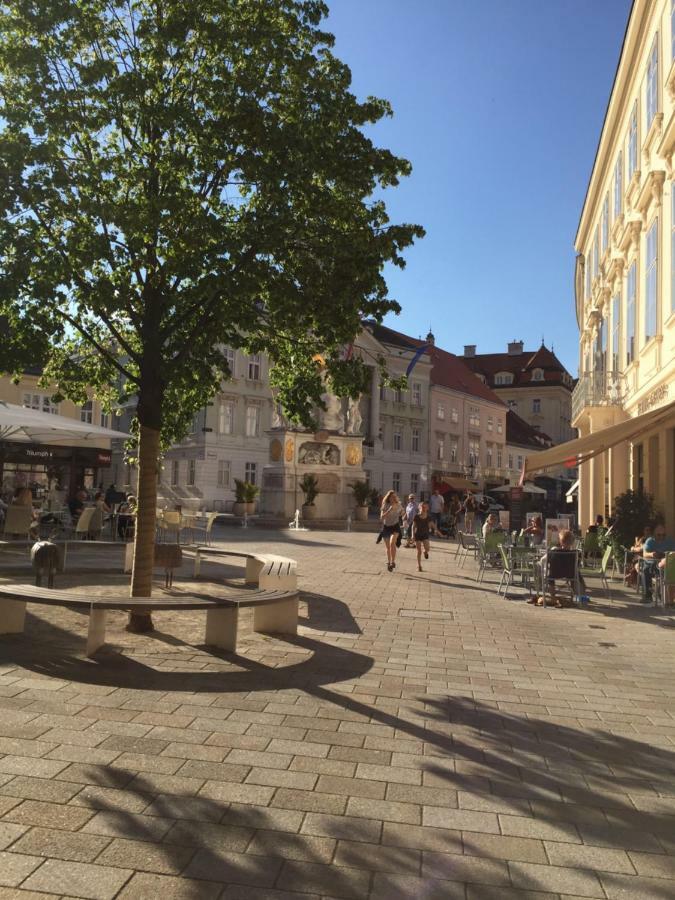Terrasse Wohnungen Mit Parking In Zentrum 바덴 외부 사진