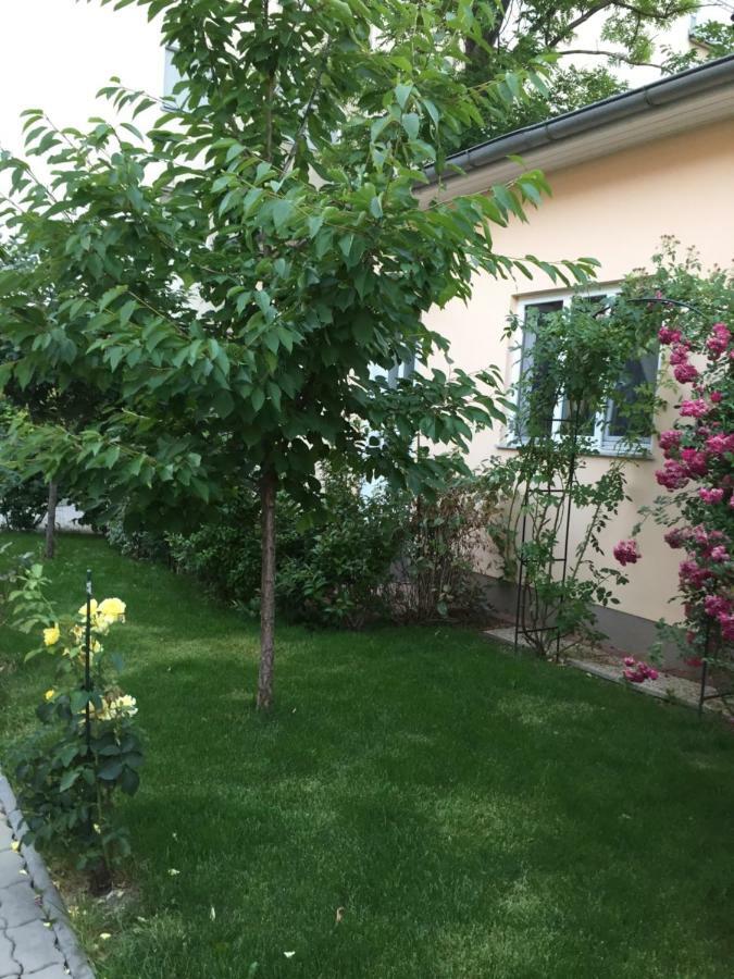 Terrasse Wohnungen Mit Parking In Zentrum 바덴 외부 사진