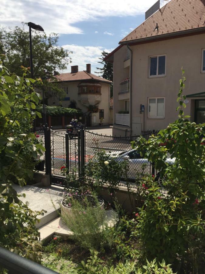 Terrasse Wohnungen Mit Parking In Zentrum 바덴 외부 사진