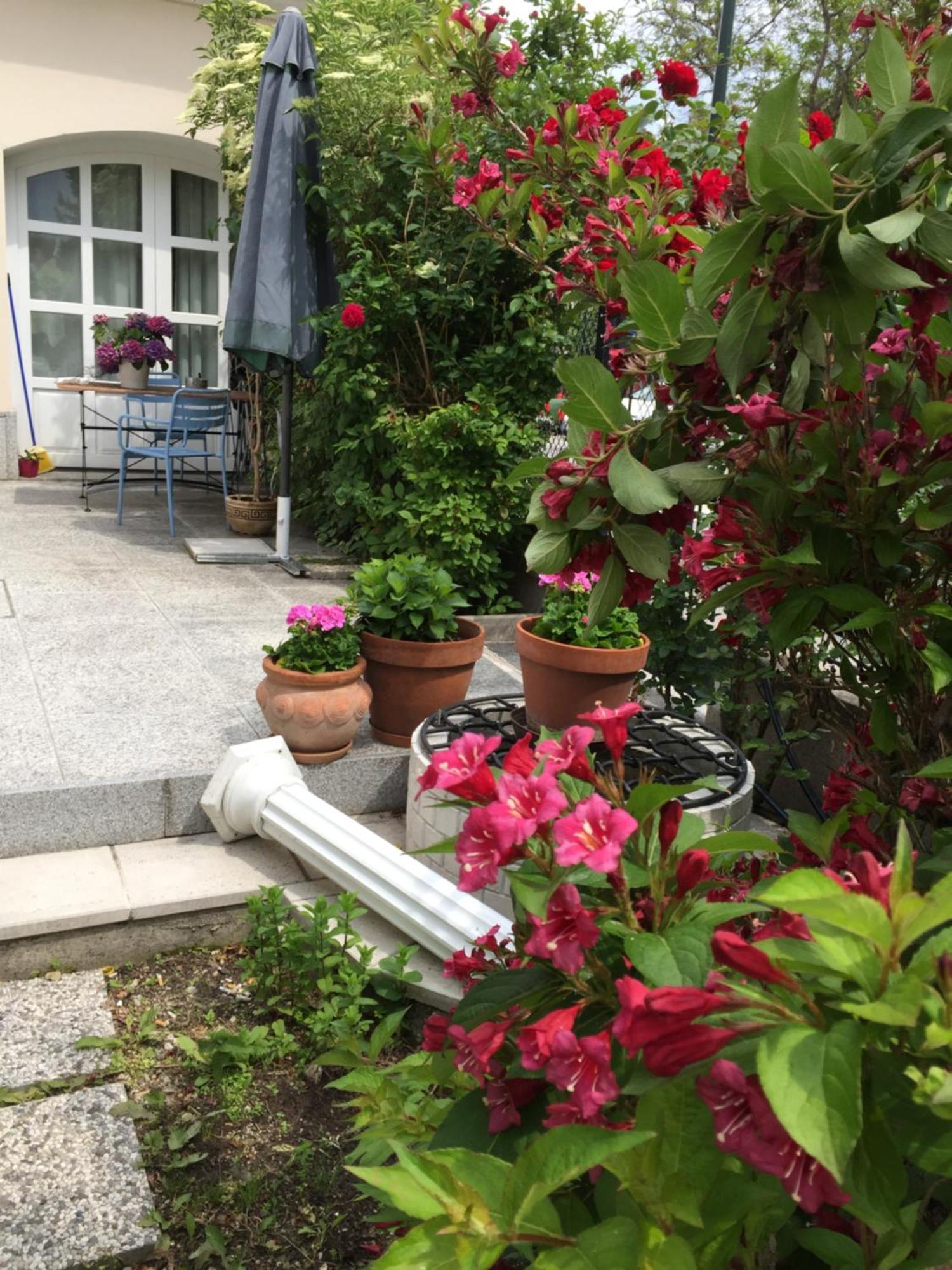 Terrasse Wohnungen Mit Parking In Zentrum 바덴 외부 사진