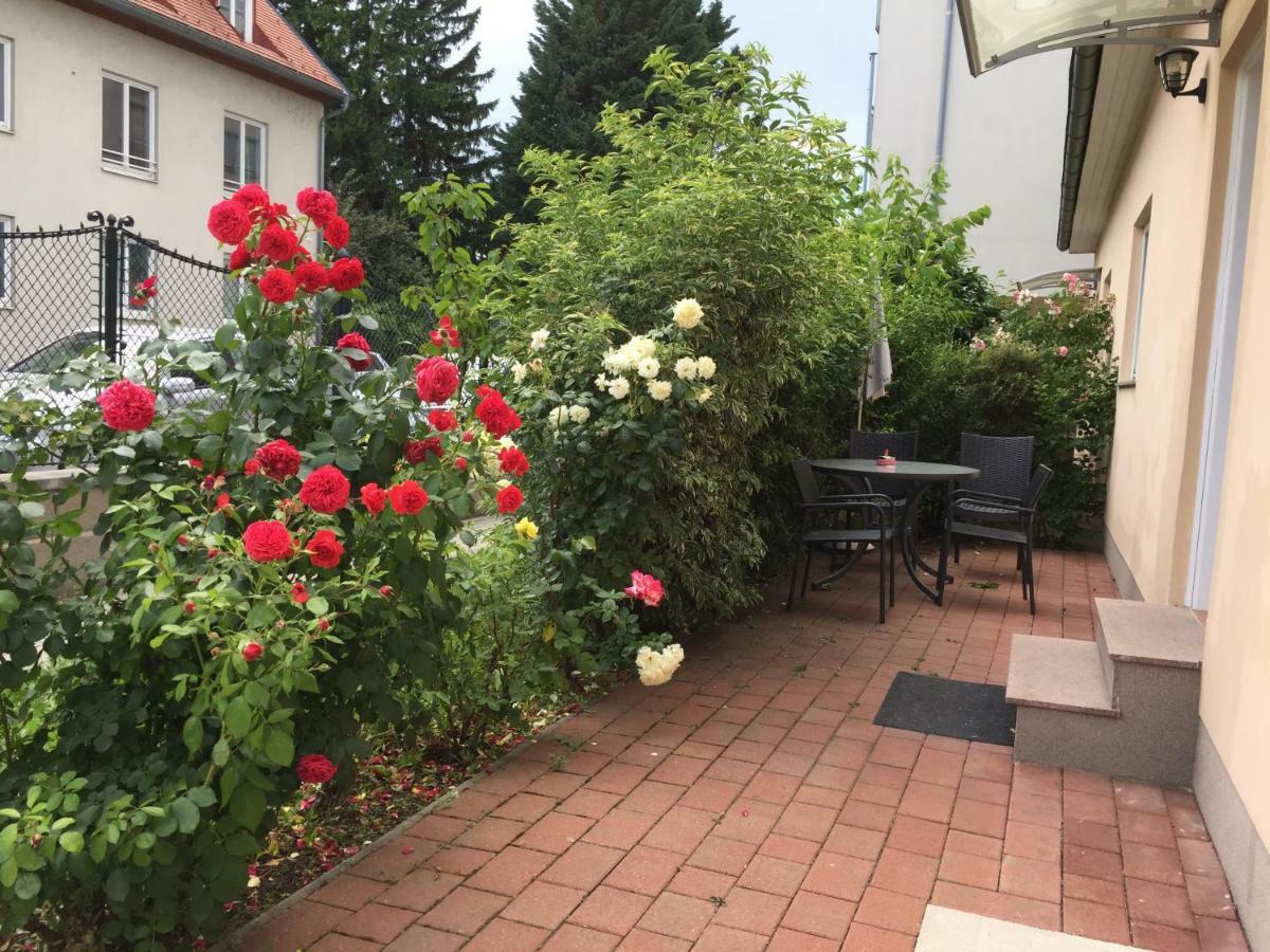 Terrasse Wohnungen Mit Parking In Zentrum 바덴 외부 사진